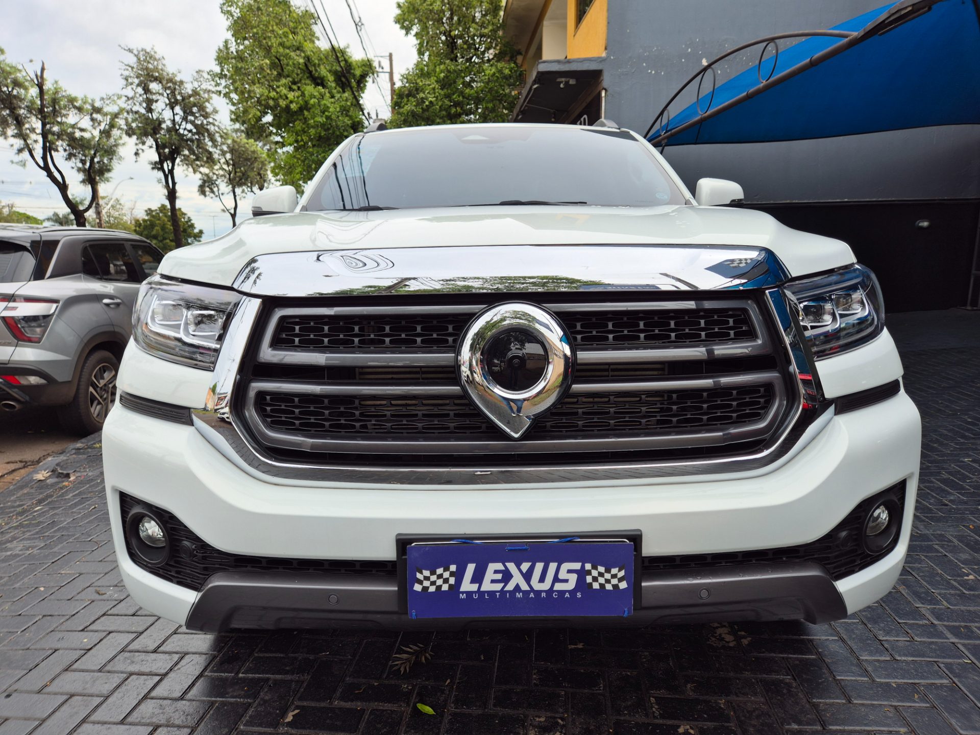 GWM Poer P30, Exclusive - foto 2